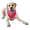 Tie-Dyed Bandanas - 12 Pc. Image 1