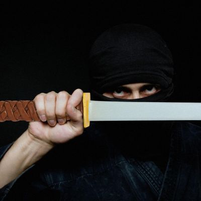 TMNT Leonardo Katana Costume Accessory Image 1