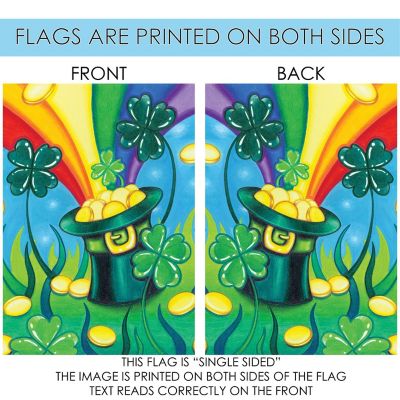 Toland Home Garden 28" x 40" Hat 'O Gold St Patrick's Day House Flag Image 3
