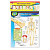 TREND The Human Body Learning Charts Combo Pack, Set of 7 Image 3