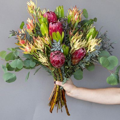 Tropical Sunrise Protea DIY Fresh Flower Pack Image 1