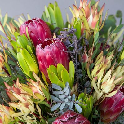 Tropical Sunrise Protea DIY Fresh Flower Pack Image 2