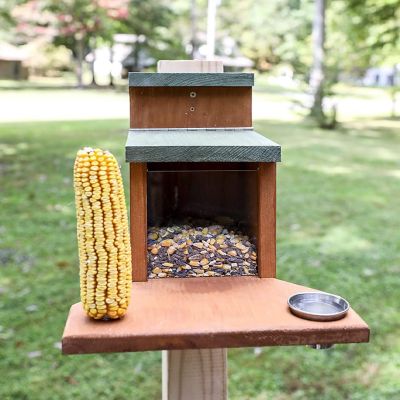 Ultimate Squirrel Munch Box Feeder; Rustic Handmade Squirrel Food Box Image 2