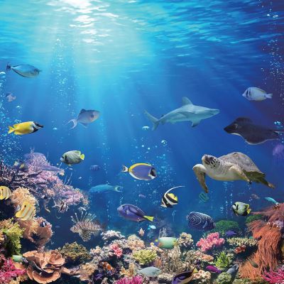 Under the Sea Coral Reef 500 Piece Jigsaw Puzzle Image 1