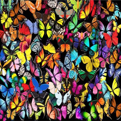 Unique Butterflies Jigsaw Unique Puzzles for Adults - Premium Quality - 1000 Pieces Image 1