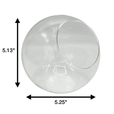 Unique Gardener: Classic 5" Glass Terrarium Image 2