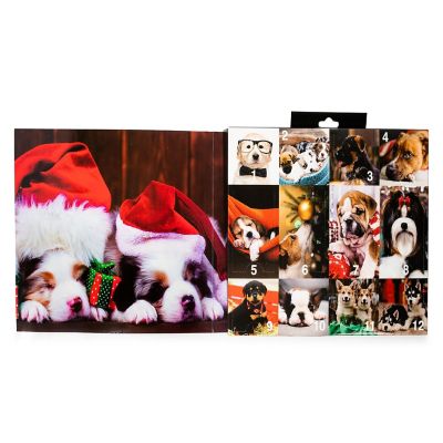 Unleash the Holiday Cheer Womens 12 Days of Socks in Advent Gift Box Image 2