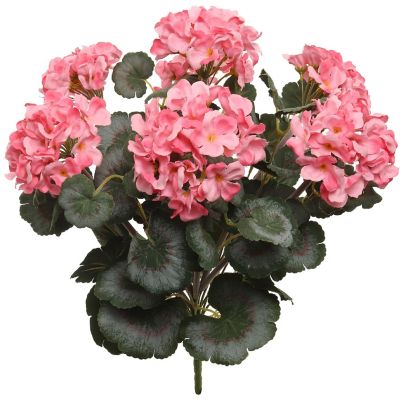 Vibrant Pink 18-Inch Geranium Bush Image 1