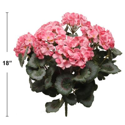 Vibrant Pink 18-Inch Geranium Bush Image 1