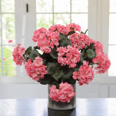 Vibrant Pink 18-Inch Geranium Bush Image 2