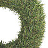 Vickerman 10" Artificial Green Grass Wreath Image 1