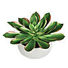 Vickerman 10" Artificial Potted Green Succulent Image 1