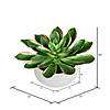 Vickerman 10" Artificial Potted Green Succulent Image 2