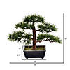 Vickerman 10" Artificial Potted Guest Greeting Bonsai Pine Tree Image 2