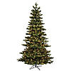 Vickerman 10' Natural Fraser Fir Artificial Christmas Tree, Clear Dura-lit Lights Image 1
