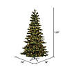 Vickerman 10' Natural Fraser Fir Artificial Christmas Tree, Clear Dura-lit Lights Image 2