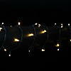 Vickerman 100 Lights LED Wide Angle White with Black Wire Wide Angle - 4"x34' Long Christmas Light Set Image 1