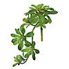 Vickerman 11" Artificial Green Aeonium Spray Includes 3 sprays per pack Image 1