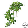 Vickerman 11" Artificial Green Aeonium Spray Includes 3 sprays per pack Image 3