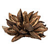 Vickerman 12-16" Natural Star Pod, Extra Large Image 1