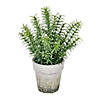 Vickerman 12.5&amp;#8220; Artificial Potted Green Plant Image 1