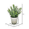 Vickerman 12.5&amp;#8220; Artificial Potted Green Plant Image 2