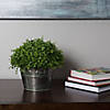 Vickerman 12"  Artificial Green Mixed Greenery Half Ball Image 1