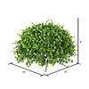 Vickerman 12"  Artificial Green Mixed Greenery Half Ball Image 2