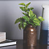 Vickerman 12" Artificial Green Pothos Leaf Bush - 3/pk Image 2