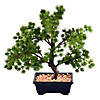 Vickerman 12" Artificial Potted Pine Bonsai Tree Image 1