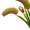 Vickerman 12" Green Artificial Venus Flytrap Plant 3/bag Image 3