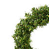 Vickerman 12" Mini Pine Artificial Christmas Wreath, Unlit, Set of 4 Image 1