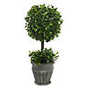Vickerman 13" Artificial Green Boxwood Topiary Image 1