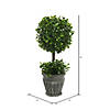 Vickerman 13" Artificial Green Boxwood Topiary Image 2