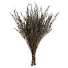 Vickerman 14-18" Silver White Stoebe Bundle Image 1
