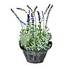Vickerman 14.5" Artificial Lavender in Galvanized Pot Image 1