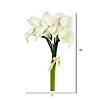 Vickerman 14'' Artificial White Calla Lily. Eight stems per pack. Image 4