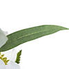 Vickerman 14'' Artificial White Peony Bouquet, Pack of 2 Image 4