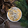 Vickerman 144 Warm White LED 2 Function Spider Light Set - 24' Christmas Light Set, Clear Wire Image 3