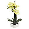 Vickerman 15.5" Artificial Green Orchid Image 1