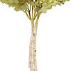 Vickerman 15&#8221; Apple Green Hydrangea with Multiple Branch Segments, Preserved Image 2