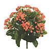 Vickerman 15" Artificial Orange Kalanchoe Bush Image 1