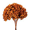 Vickerman 15&#8221; Autumn Hydrangea with Multiple Branch Segments. Preserved Image 1