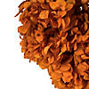 Vickerman 15&#8221; Autumn Hydrangea with Multiple Branch Segments. Preserved Image 3