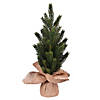 Vickerman 15" Balsam Fir Sapling Artificial Christmas Tree, Unlit, 2 Pack Image 1
