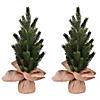 Vickerman 15" Balsam Fir Sapling Artificial Christmas Tree, Unlit, 2 Pack Image 1