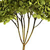 Vickerman 15&#8221; Basil Hydrangea with Multiple Branch Segments. Preserved Image 2
