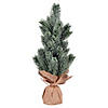Vickerman 15" Frosted Spruce Sapling Artificial Christmas Tree, Unlit, 2 Pack Image 1