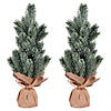 Vickerman 15" Frosted Spruce Sapling Artificial Christmas Tree, Unlit, 2 Pack Image 1