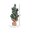 Vickerman 15" Frosted Spruce Sapling Artificial Christmas Tree, Unlit, 2 Pack Image 2